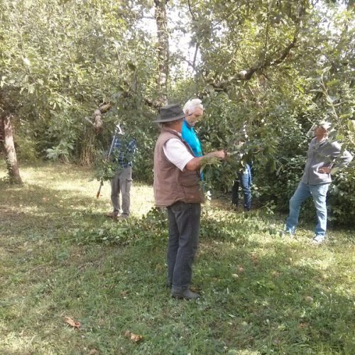 Die Äste werden begutachtet.