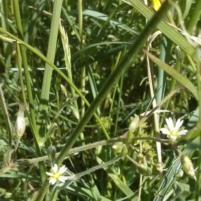 IMG_20250511_144057-cropped